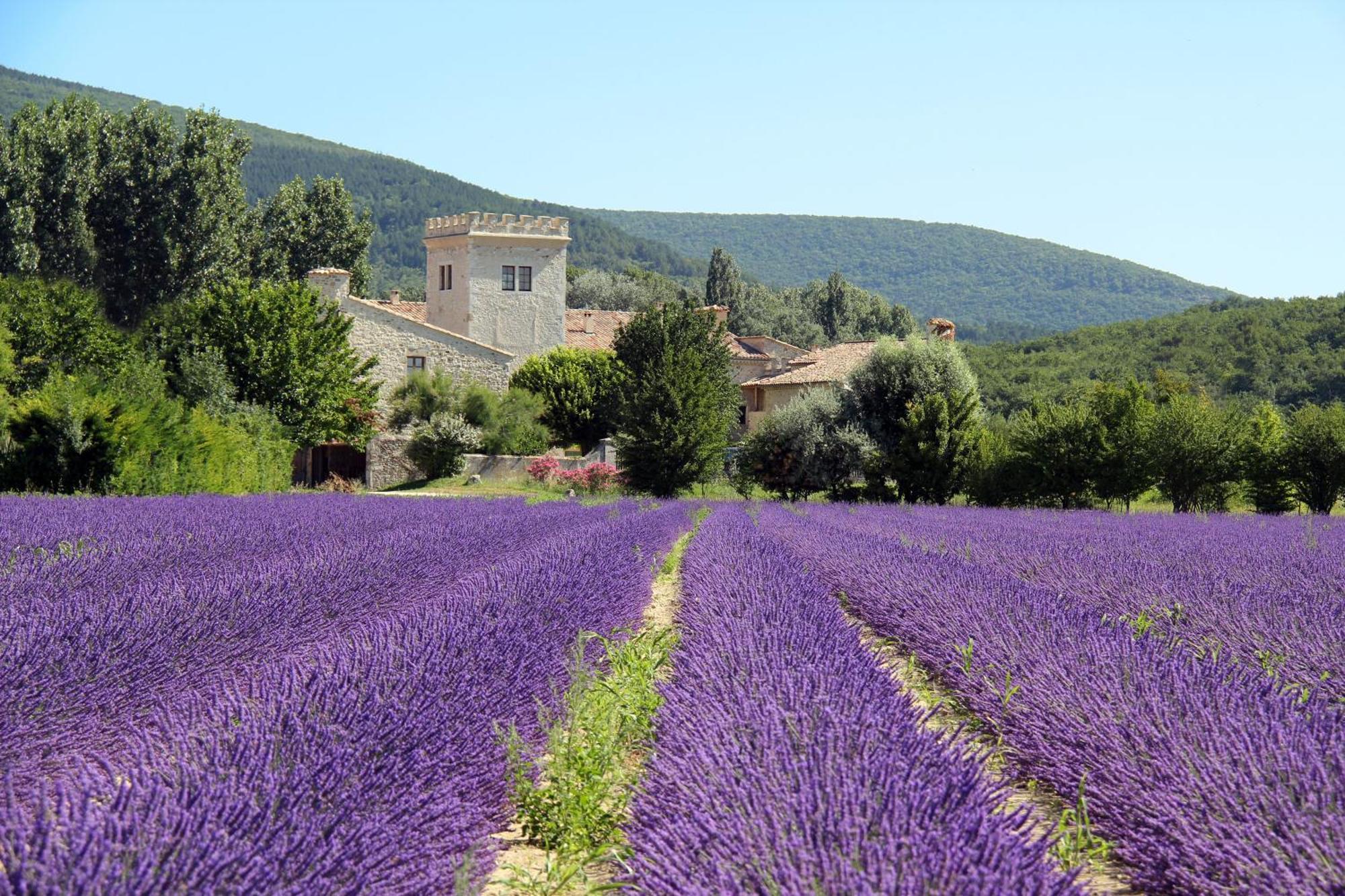 La Colombiere - Vue Imprenable Sur L'Ardeche - Tres Calme - Tres Bien Situe - Residence Privee Μοντελιμάρ Εξωτερικό φωτογραφία